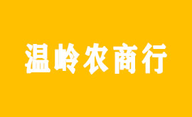 智慧支付项目
